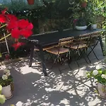 Pezic Pola